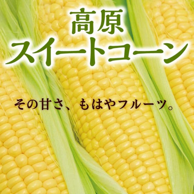 大分県産「高原スイートコーン」(約2kg)