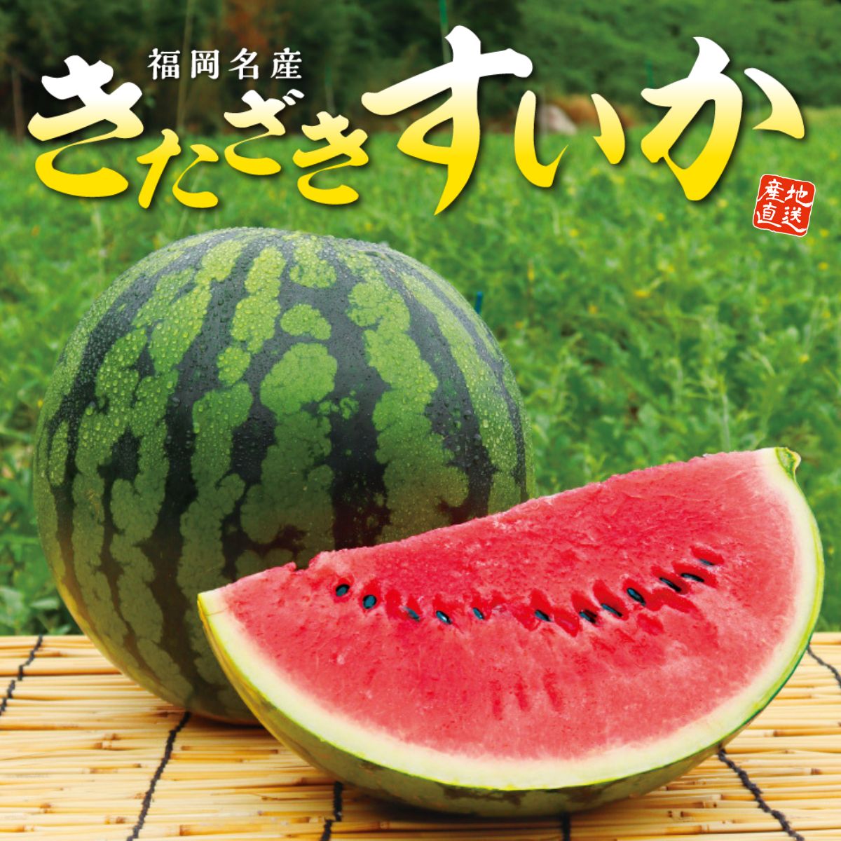 福岡名産「きたざきすいか」（6～7kg・Lサイズ）