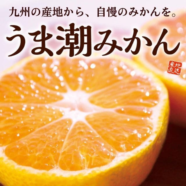 九州産「うま潮みかん」（約2.5kg）