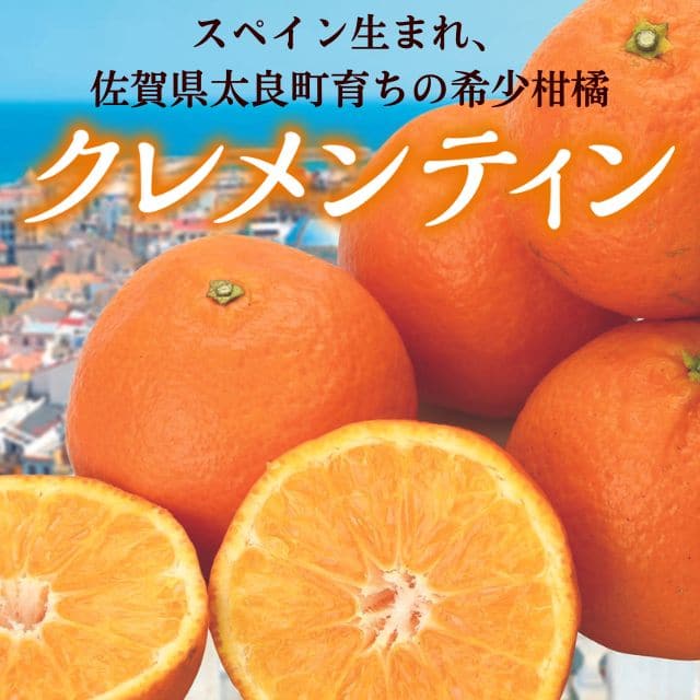 佐賀県産「クレメンティン」（約2kg）