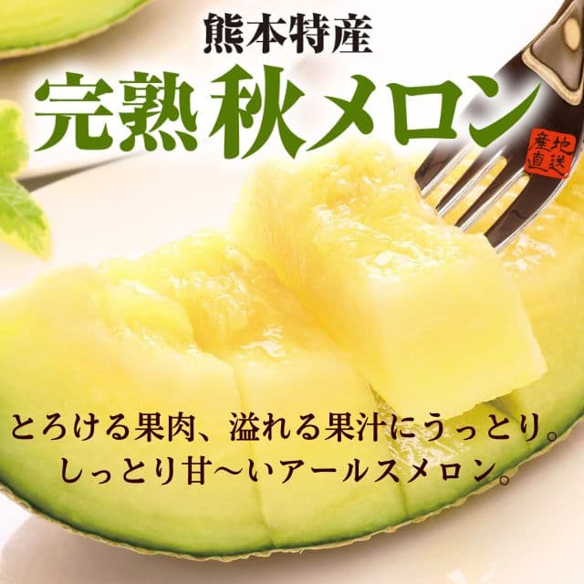 熊本県産「完熟 秋メロン」（約1.5kg）