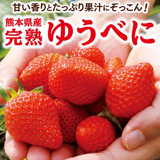 熊本県産「完熟ゆうべに」 1箱（約350g）