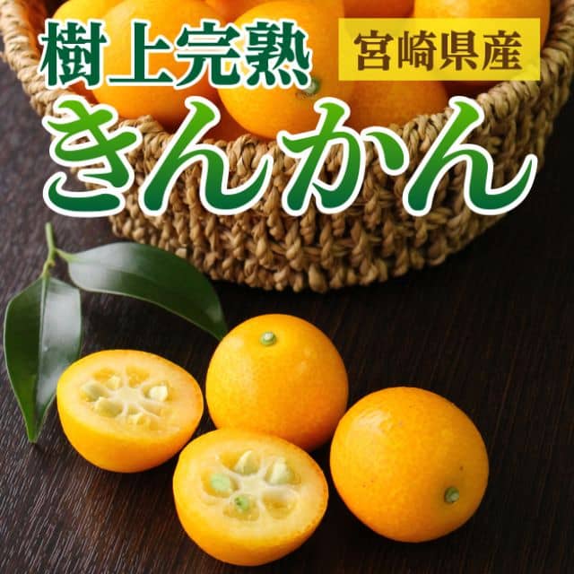 宮崎県産「樹上完熟 きんかん」（約1kg）